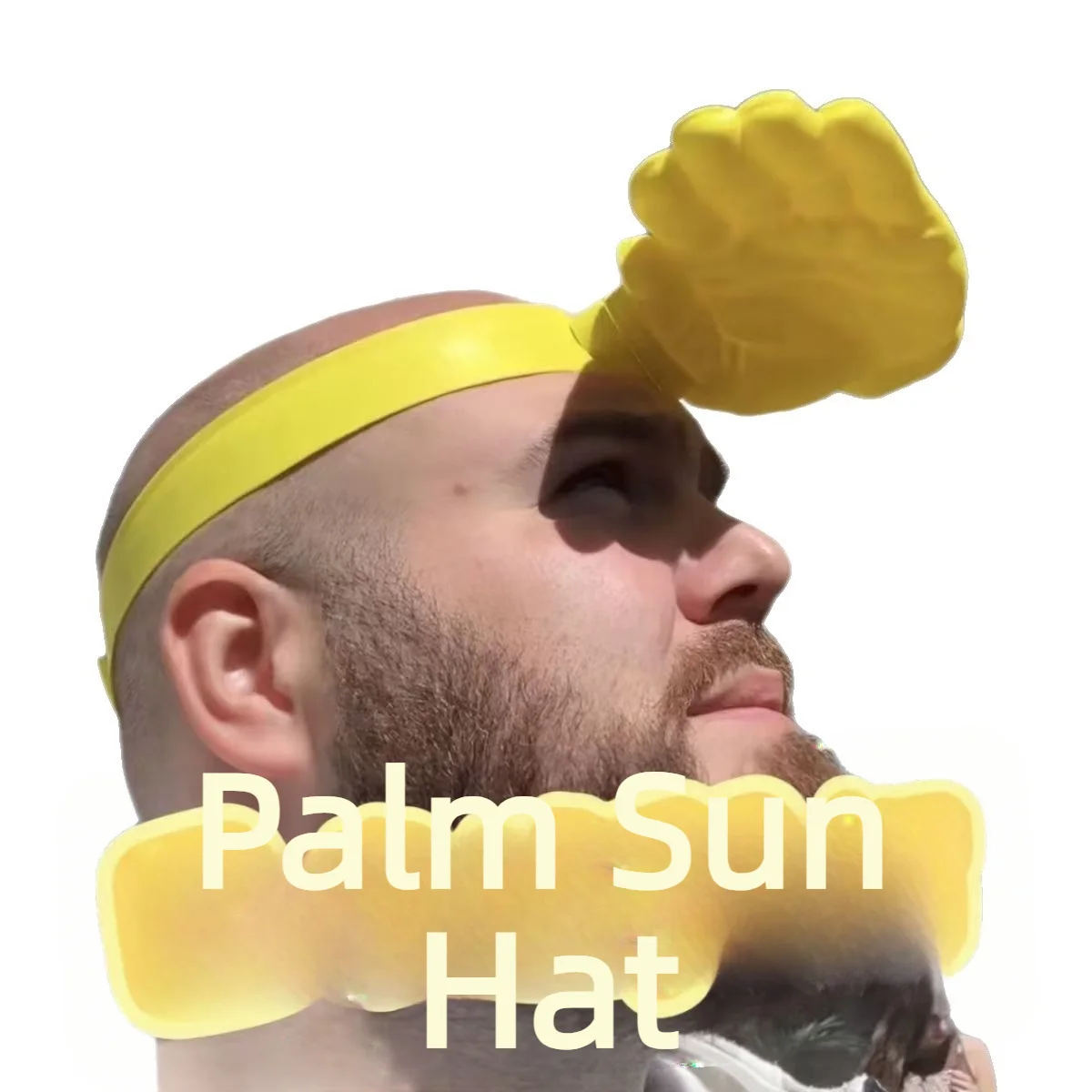 1/3 Stück Neuartiger 3D-Handfo – Visor Sun Hat Bewertung und Preis